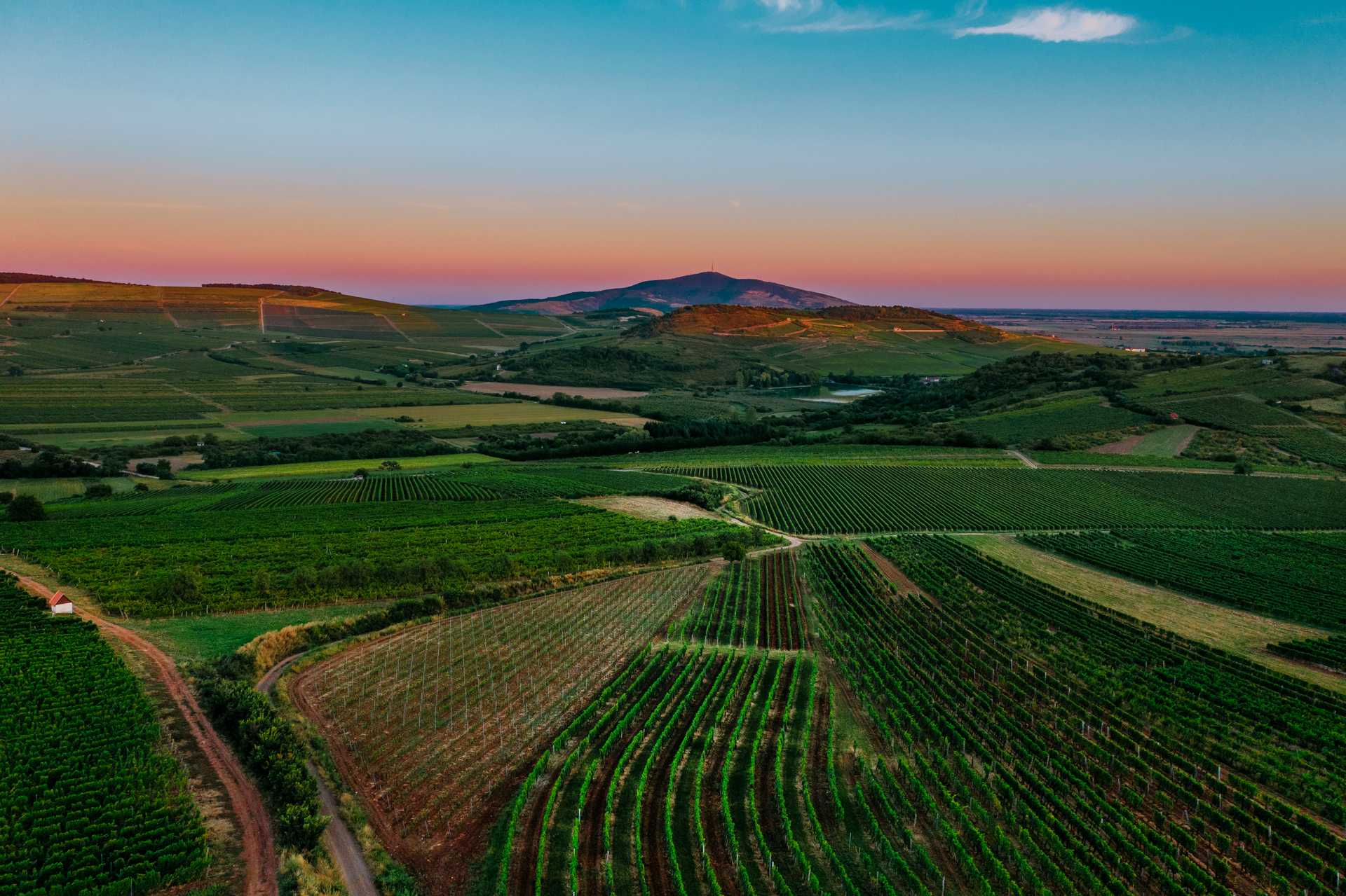 Region Winiarski Tokaj