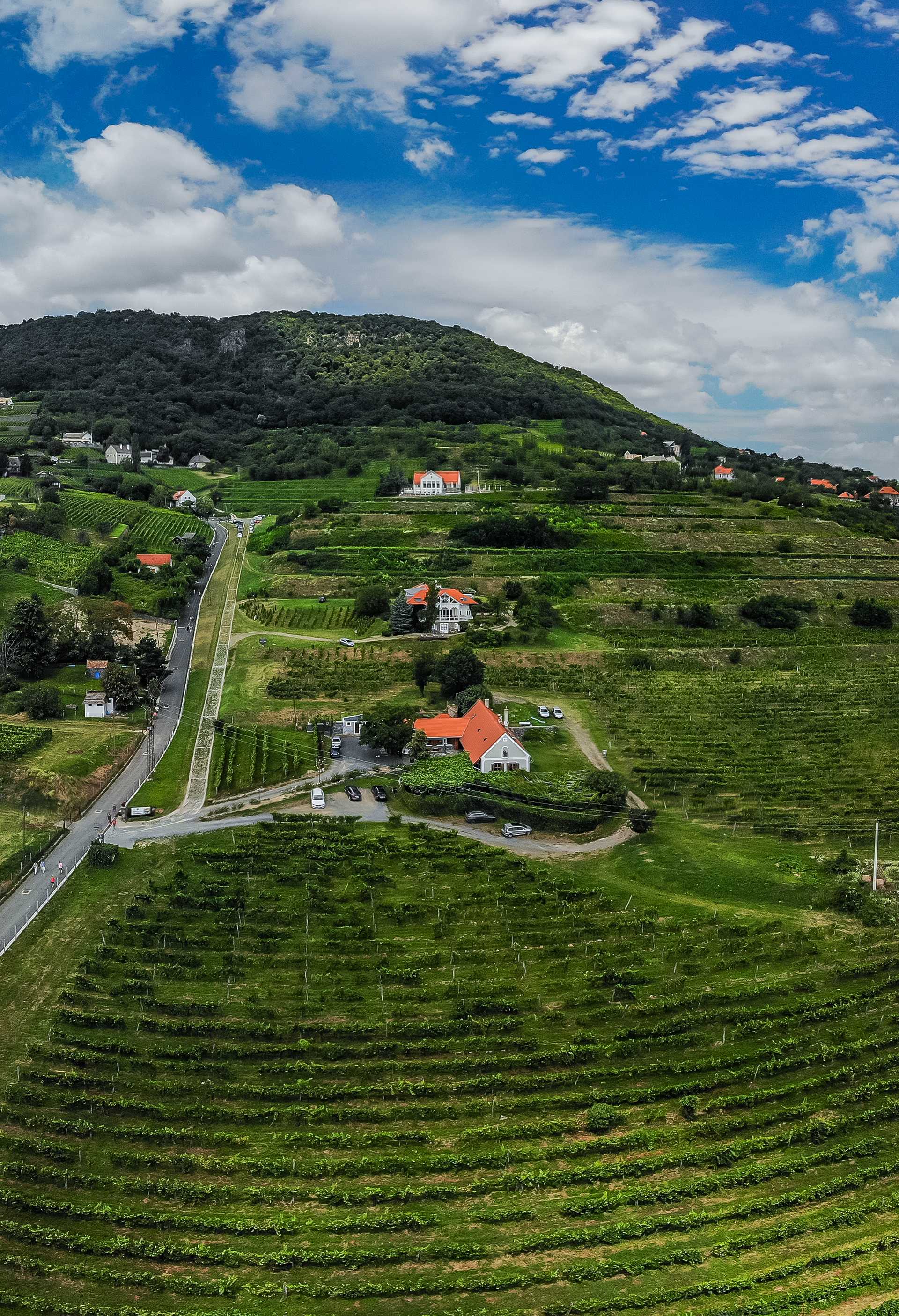 Balaton Wine Region