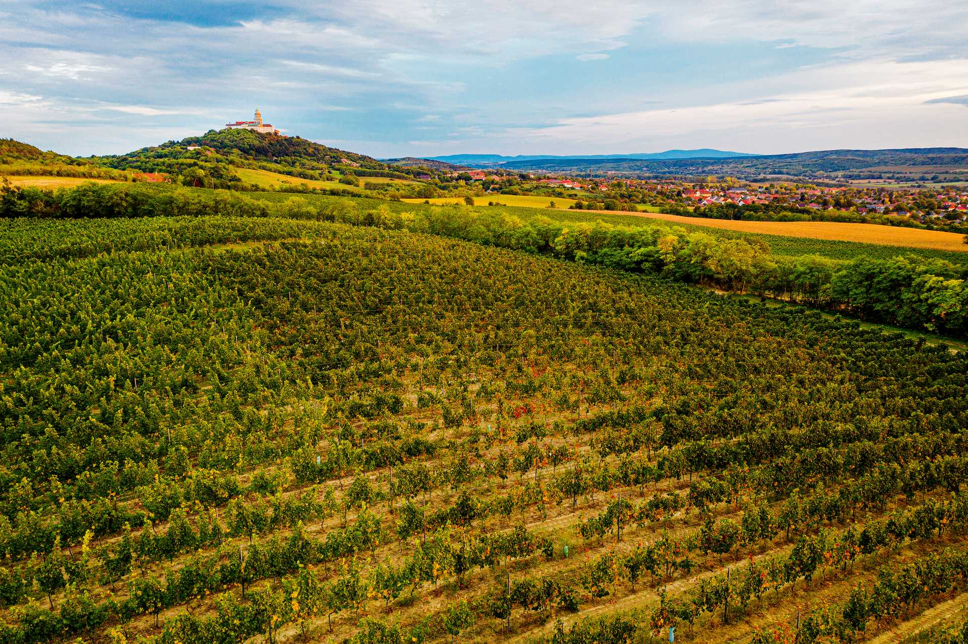 Region Winiarski Pannonhalma