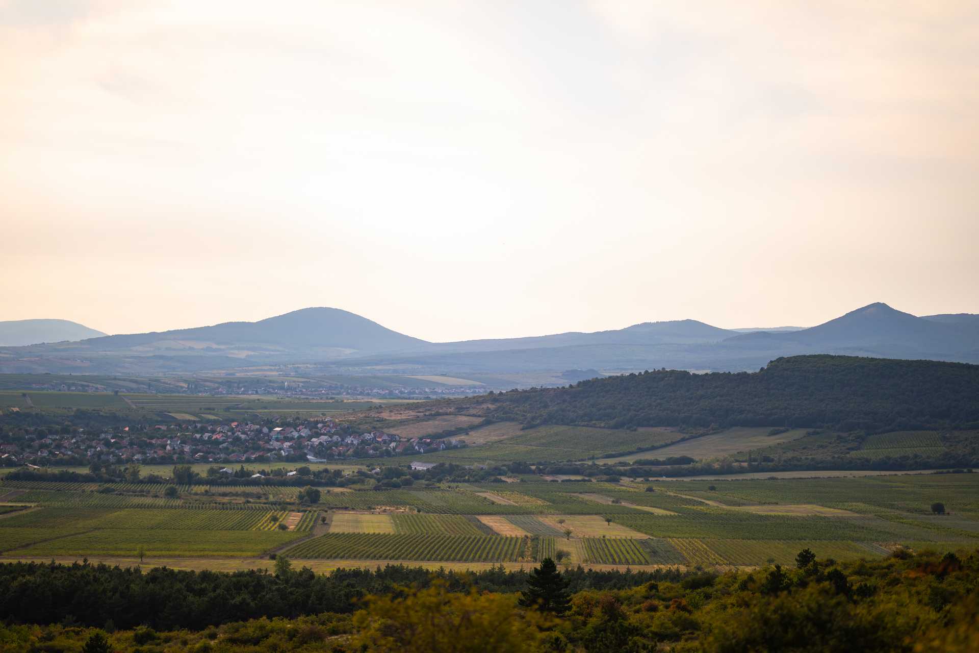 Upper Hungary Wine Region