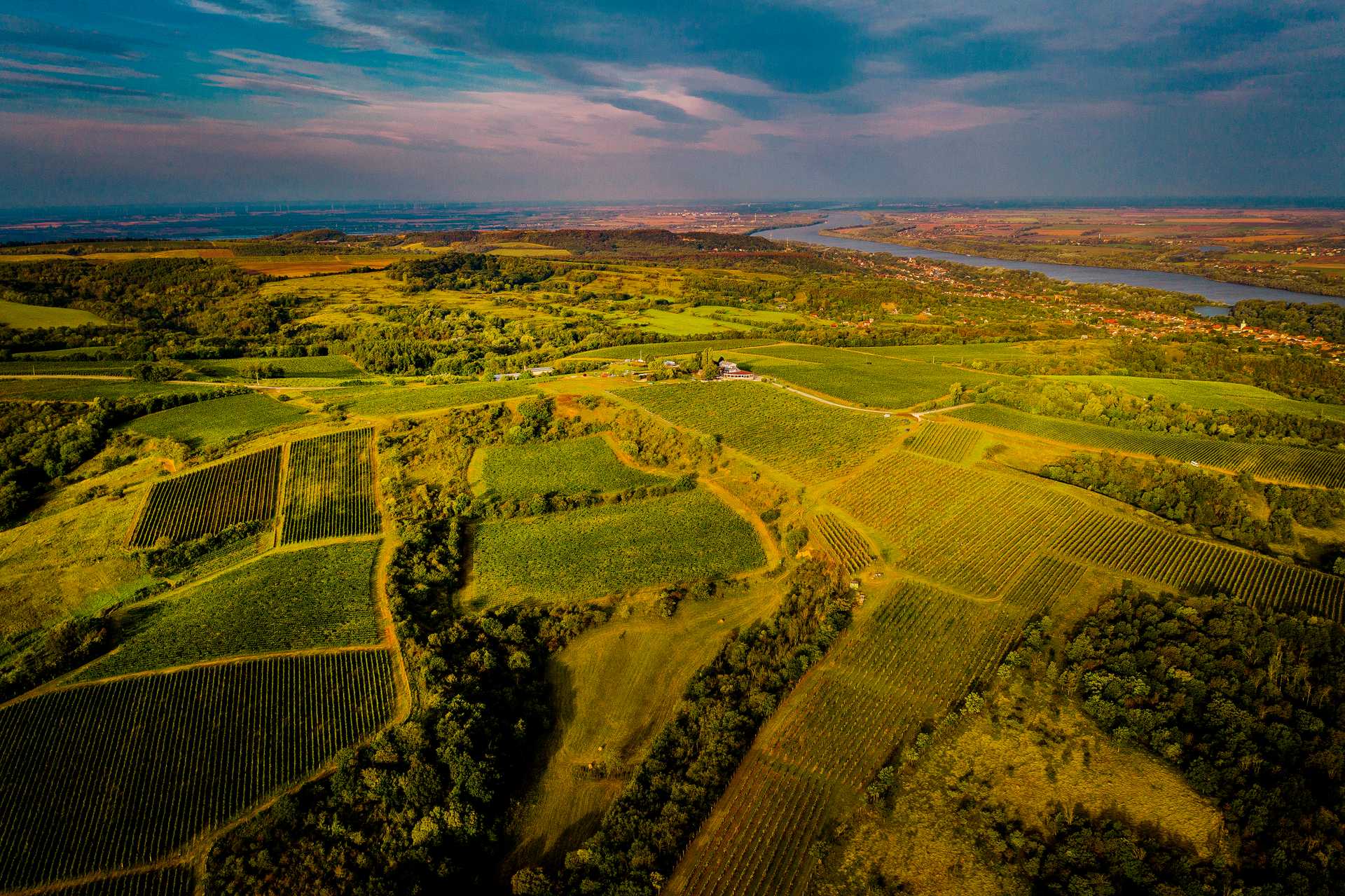 Neszmély Wine District