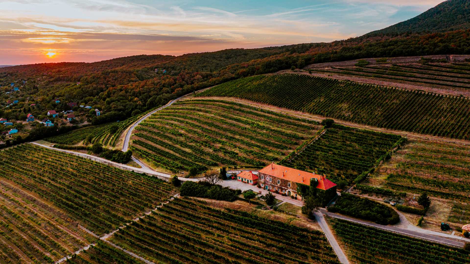 Pécs Wine District