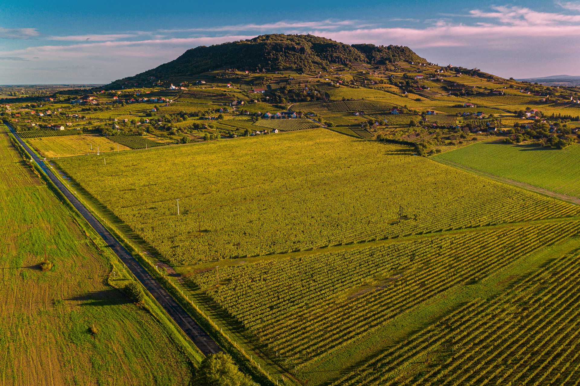 Nagy-somló Wine District