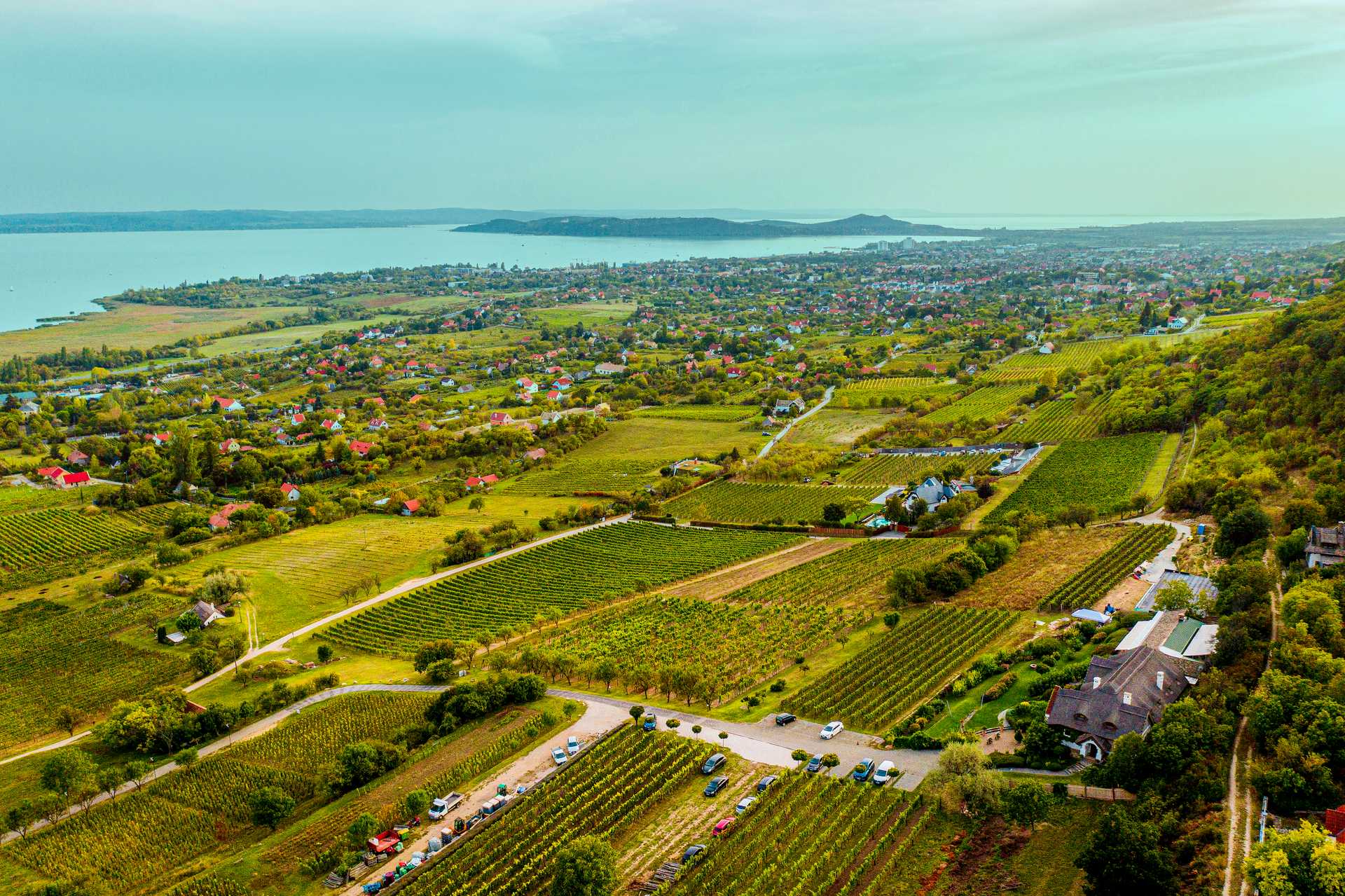 Balatonfüred-csopak Wine District