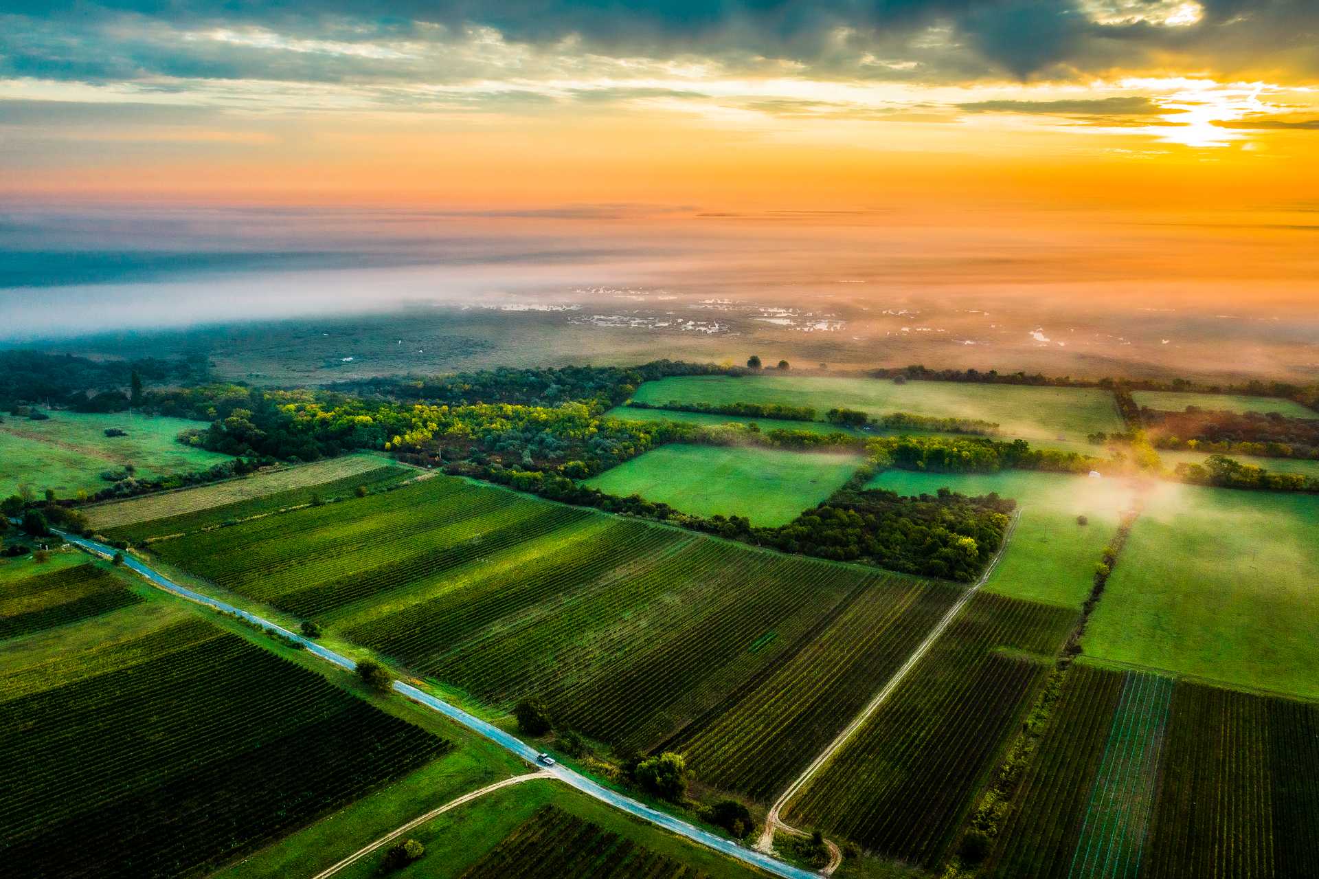 Sopron Wine District