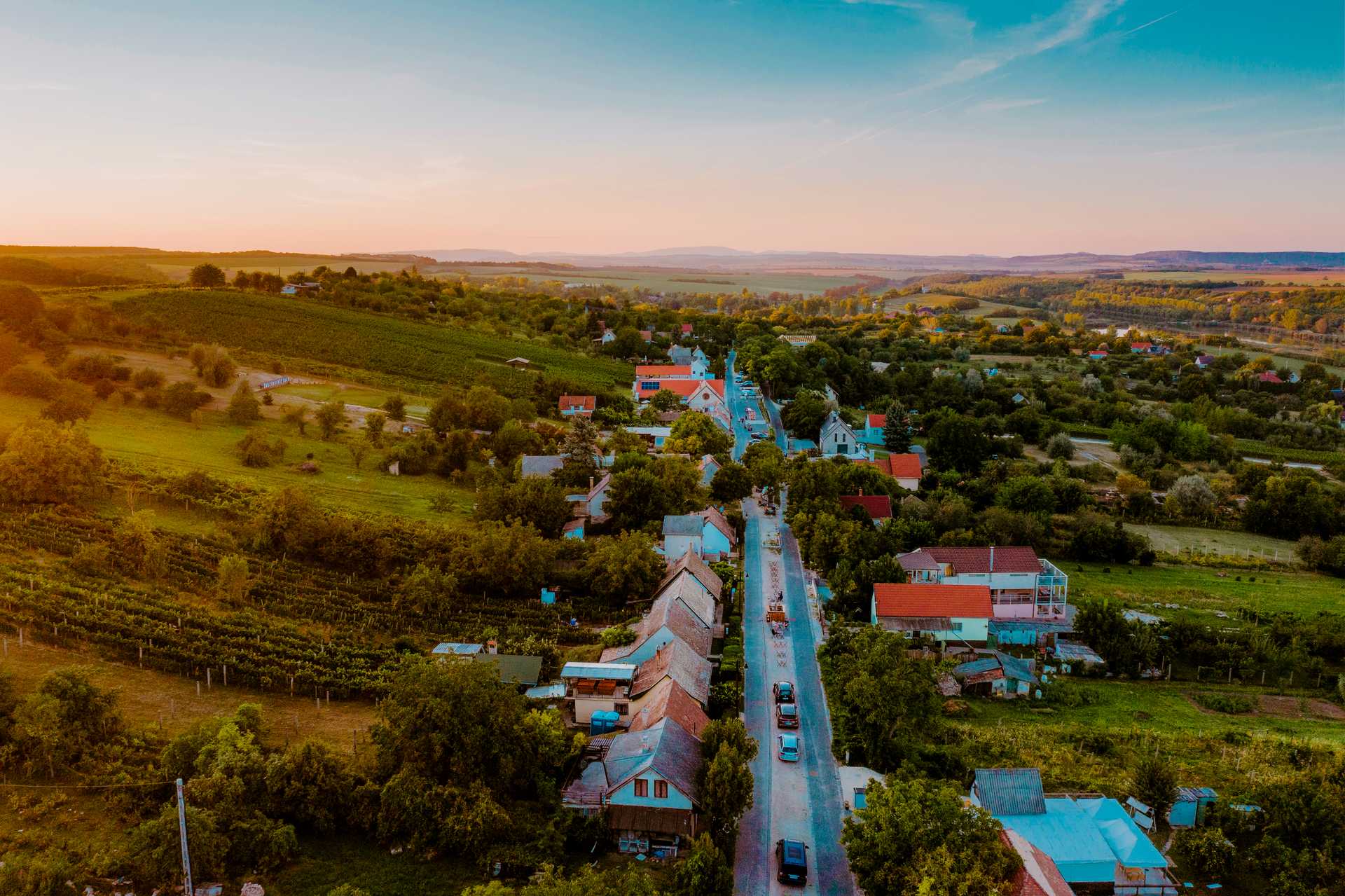 Etyek-buda Wine District