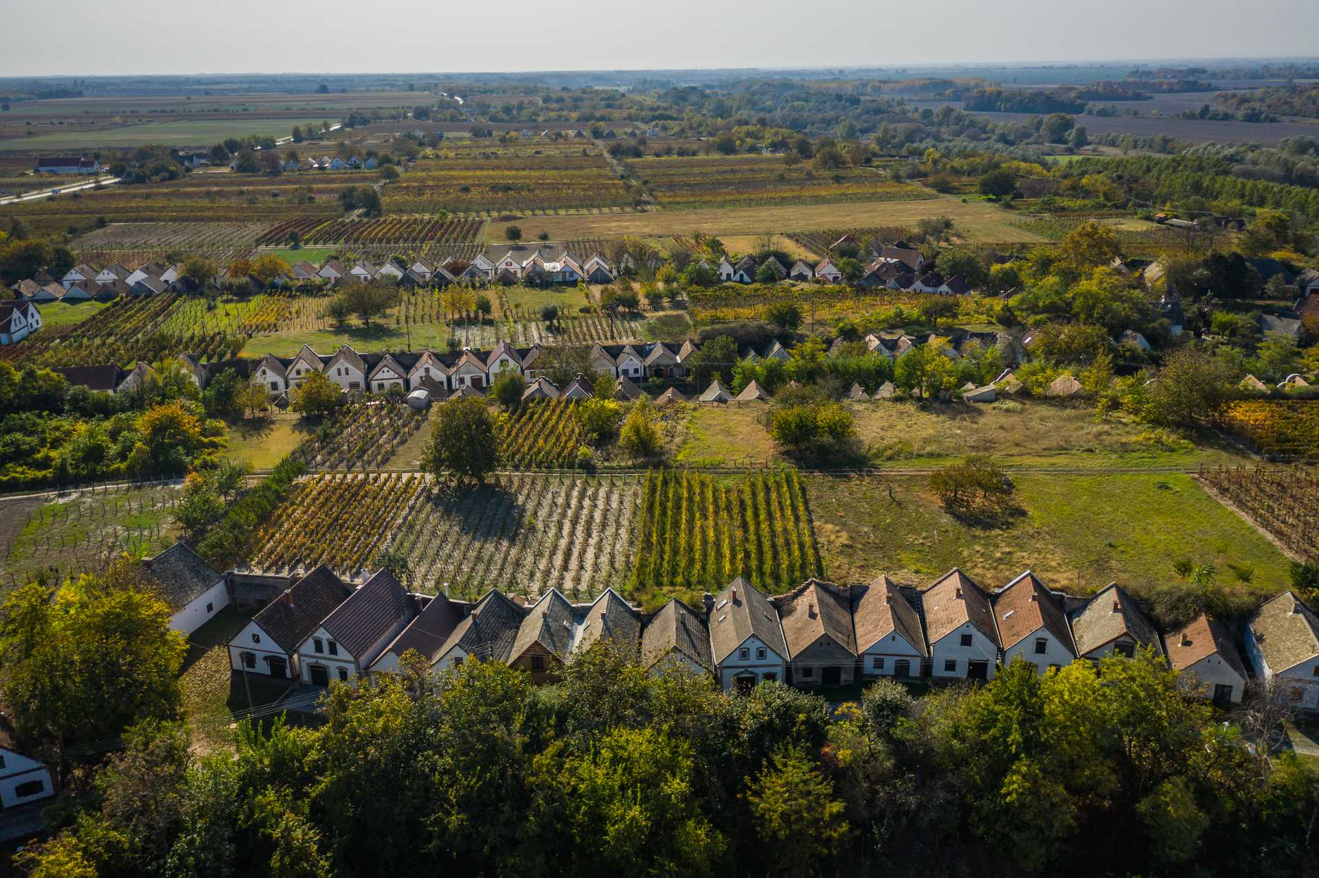 Danube Wine Region