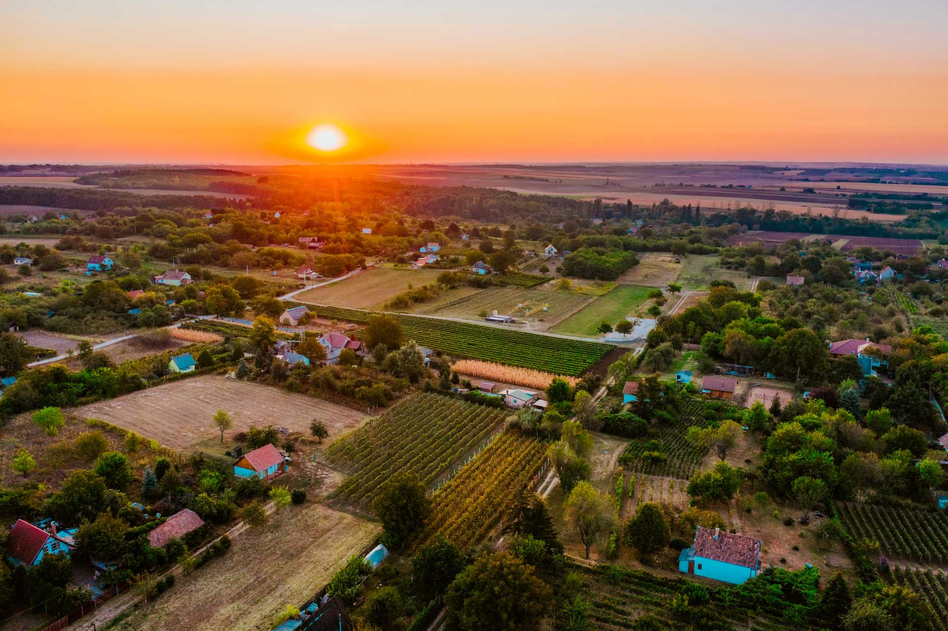 Kunság Wine District