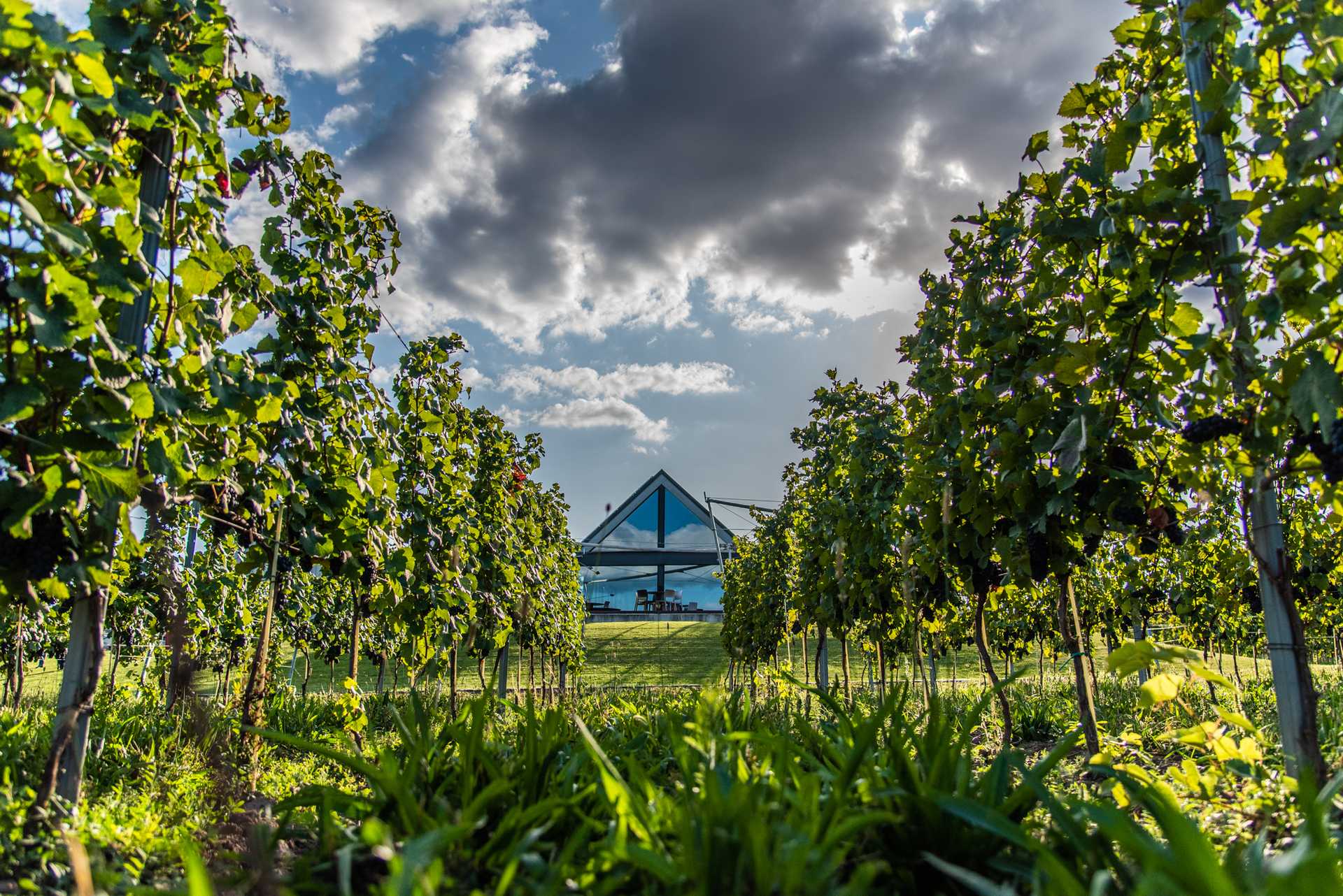 Etyeki Kúria Winery