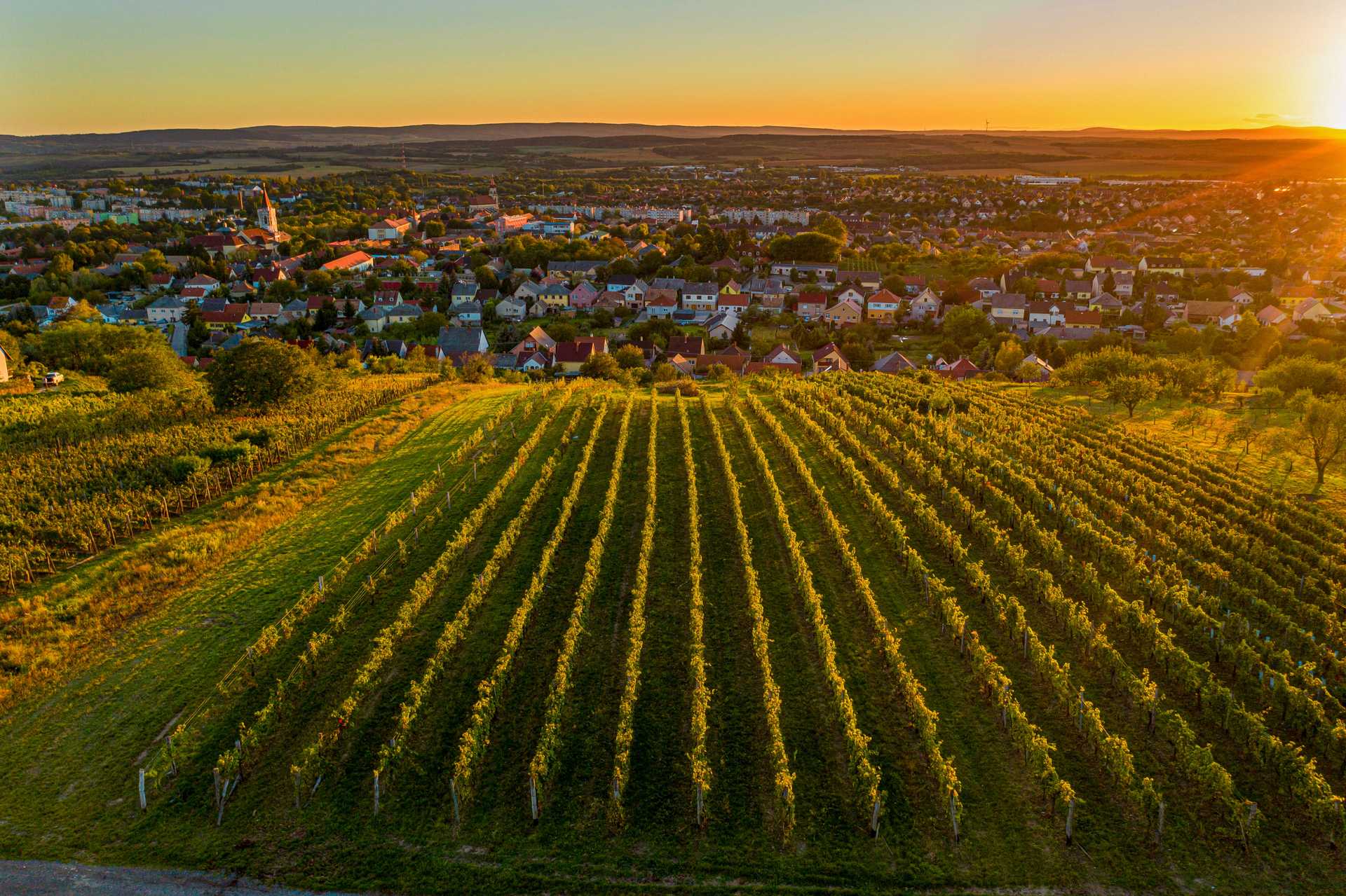 Mór Wine District