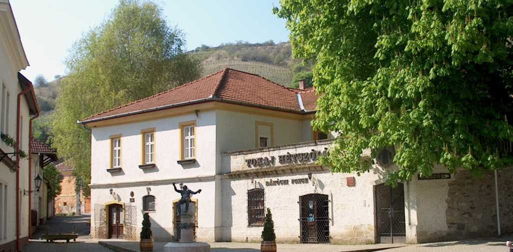 Tokaj Hétszőlő Organic Vineyards